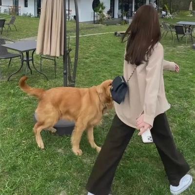 无回应的24号山